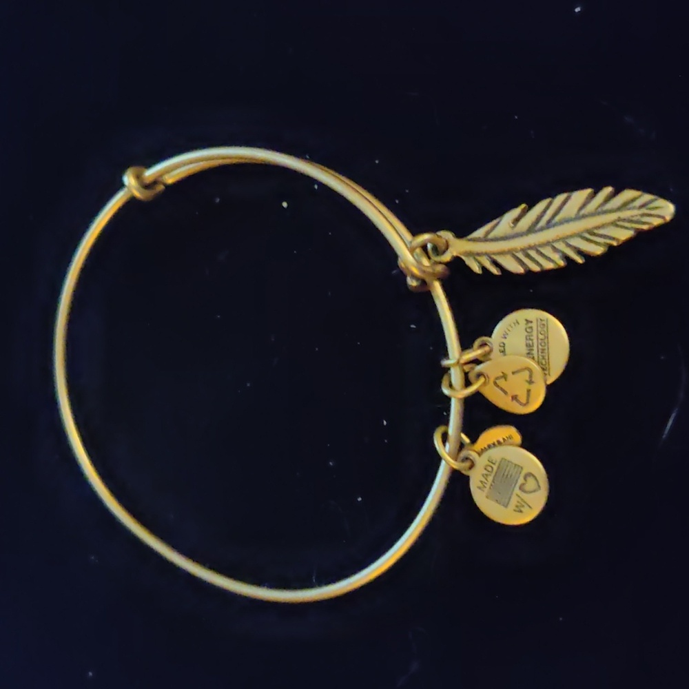 Alex and Ani Women's Gold Tone Bracelet - Feather